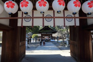 京都和婚　衣笠　平野神社の結婚式