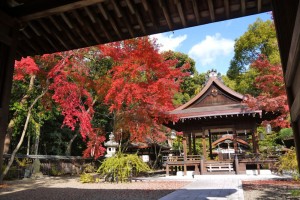 京都和婚　神社挙式　梨木神社の結婚式