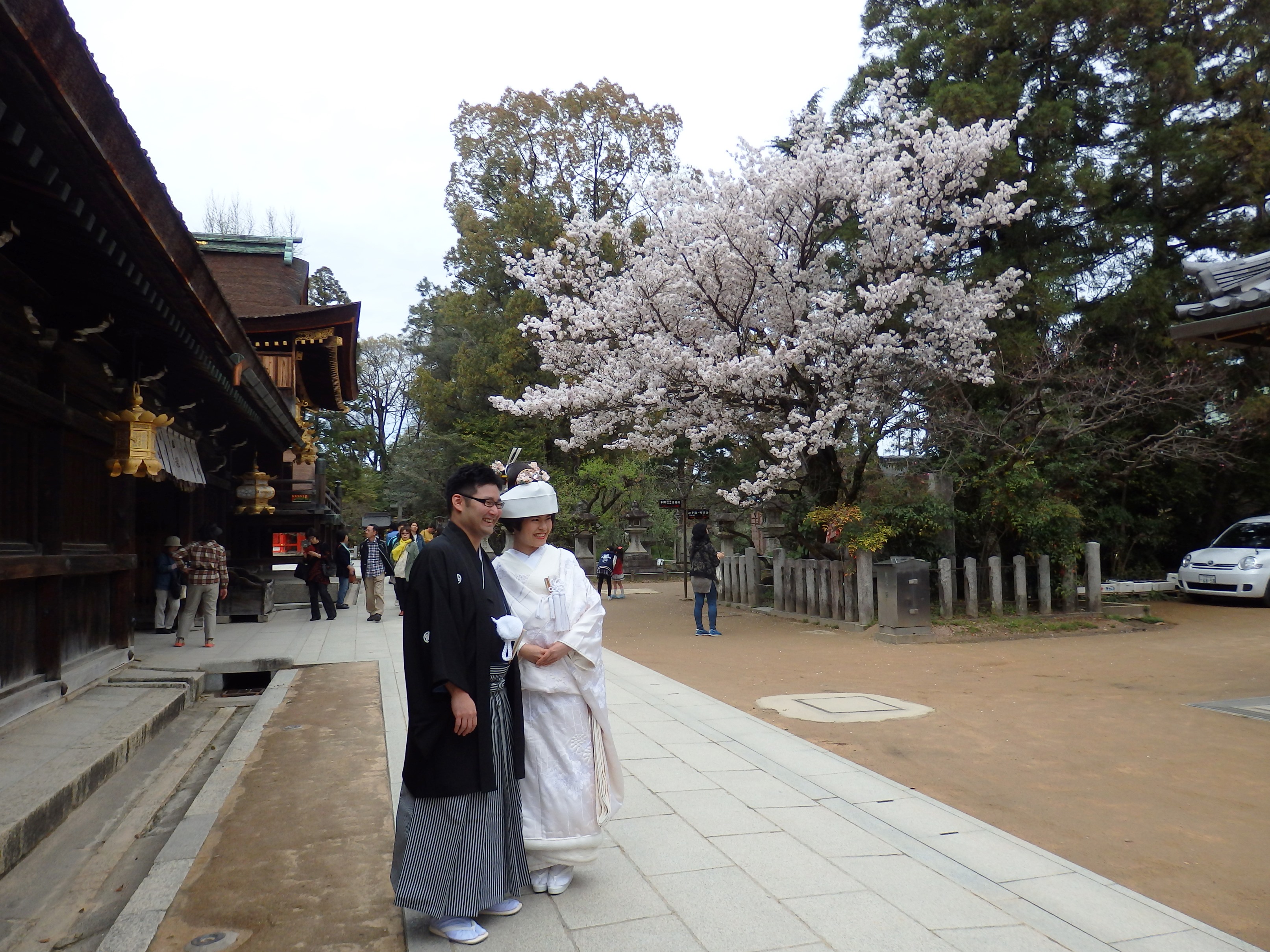 【北野天満宮結婚式】桜満開での京都結婚式！