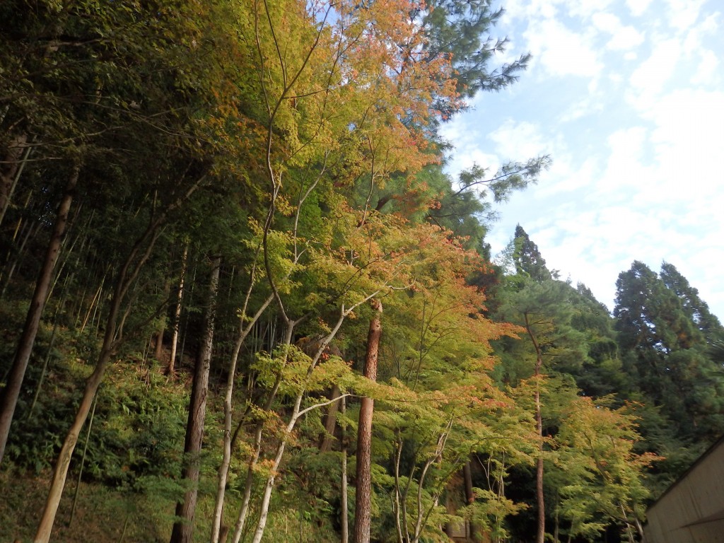 【京都×結婚式】おふたりの一生の想い出にお邪魔しました♪