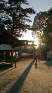 西日に照らされる上賀茂神社二ノ鳥居