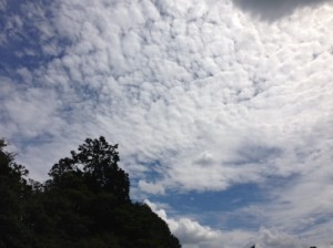 上賀茂神社での結婚式