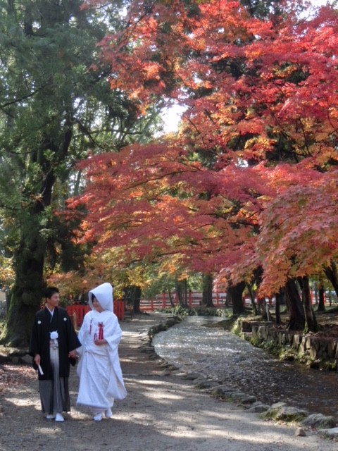 上賀茂神社での挙式♡